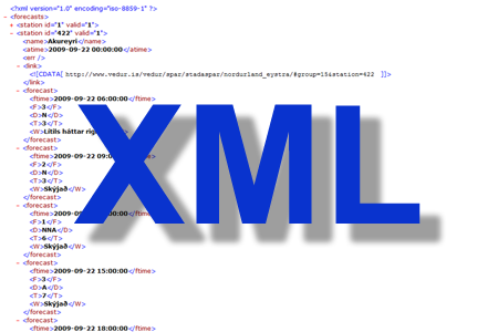 XML þjónusta