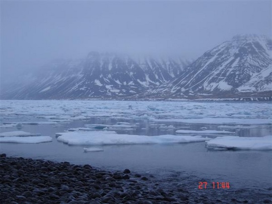 Hafís í Dýrafirði í lok janúar 2007.