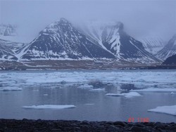 Hafís í Dýrafirði í lok janúar 2007.