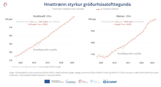 Hnattraenn-styrkur-grodurhusalofttegunda--1-